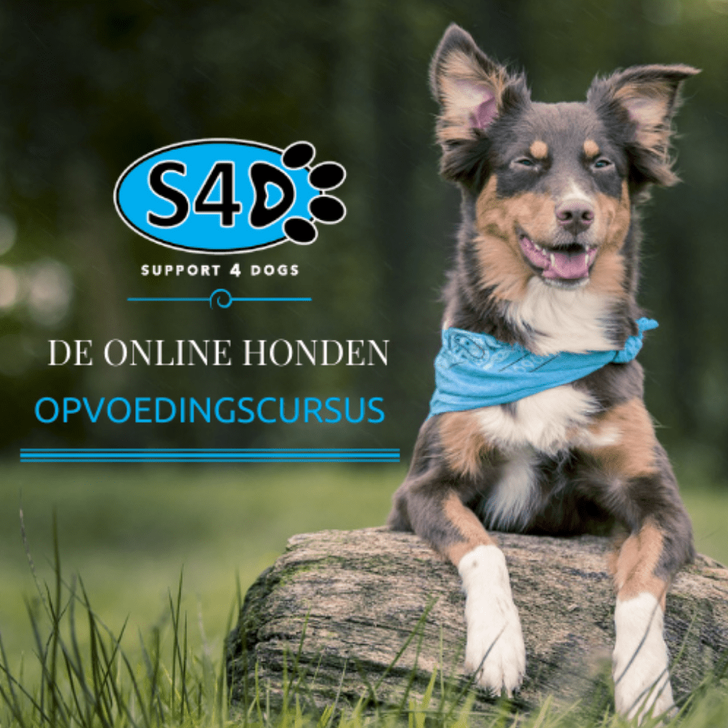 De Online Honden Opvoedingscursus